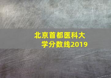 北京首都医科大学分数线2019