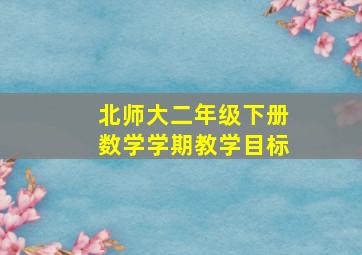 北师大二年级下册数学学期教学目标