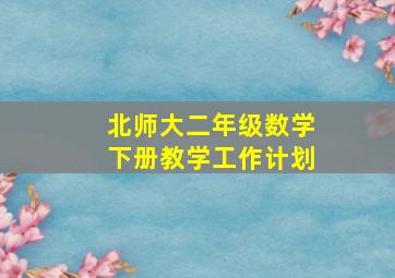 北师大二年级数学下册教学工作计划