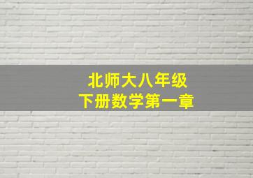 北师大八年级下册数学第一章