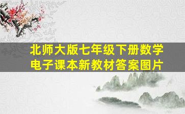 北师大版七年级下册数学电子课本新教材答案图片