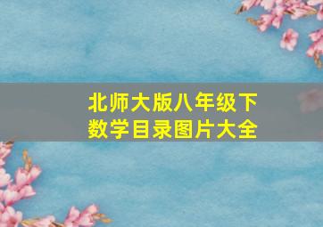 北师大版八年级下数学目录图片大全