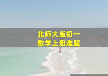 北师大版初一数学上册难题