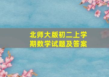 北师大版初二上学期数学试题及答案