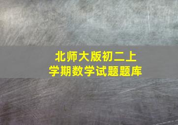 北师大版初二上学期数学试题题库