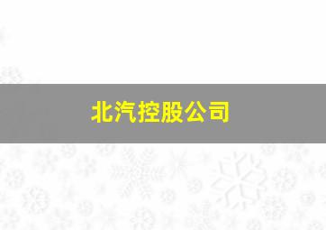 北汽控股公司