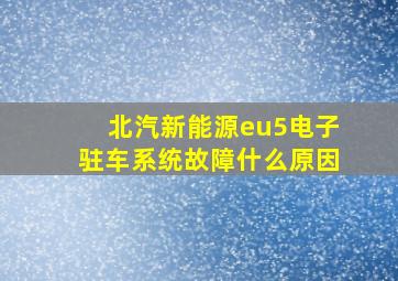 北汽新能源eu5电子驻车系统故障什么原因