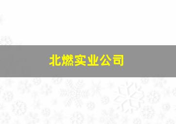 北燃实业公司