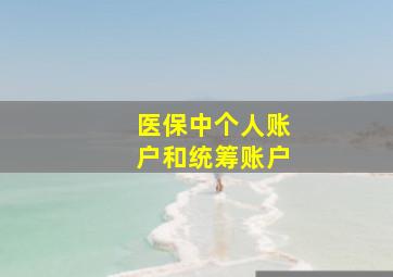 医保中个人账户和统筹账户