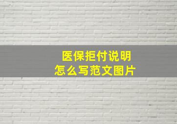 医保拒付说明怎么写范文图片