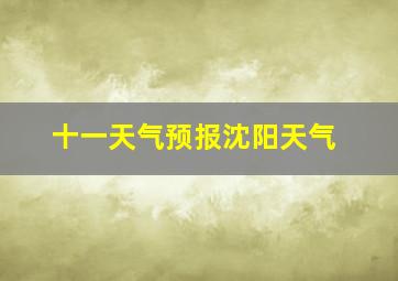 十一天气预报沈阳天气