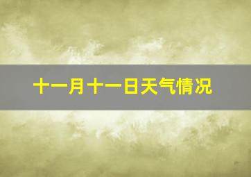 十一月十一日天气情况