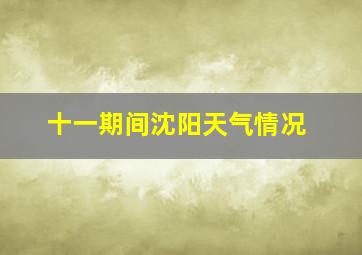 十一期间沈阳天气情况