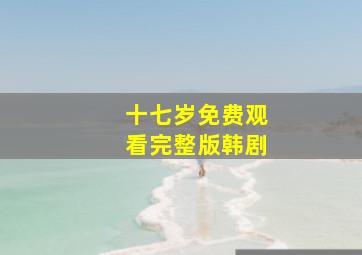 十七岁免费观看完整版韩剧