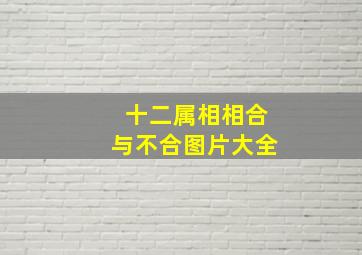 十二属相相合与不合图片大全