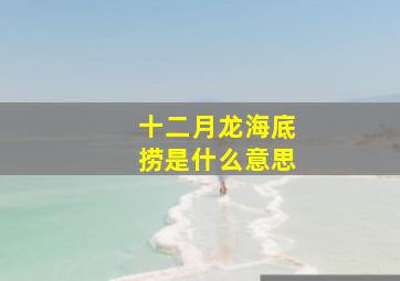 十二月龙海底捞是什么意思