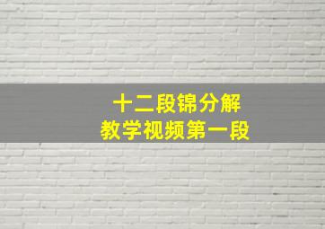 十二段锦分解教学视频第一段