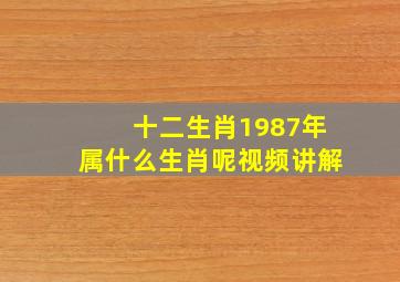 十二生肖1987年属什么生肖呢视频讲解