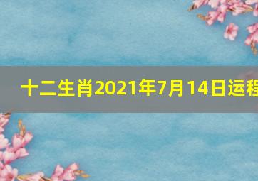 十二生肖2021年7月14日运程