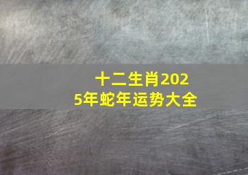 十二生肖2025年蛇年运势大全