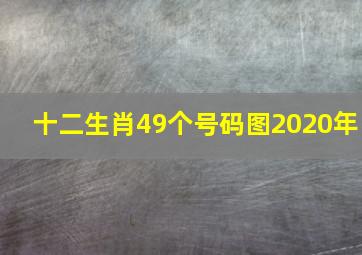 十二生肖49个号码图2020年