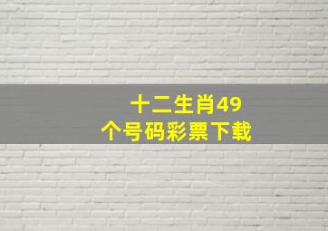 十二生肖49个号码彩票下载