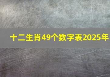 十二生肖49个数字表2025年