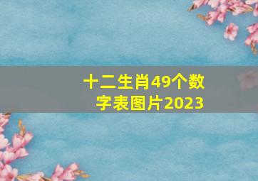 十二生肖49个数字表图片2023