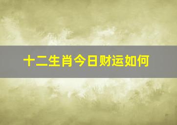 十二生肖今日财运如何