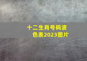 十二生肖号码波色表2023图片