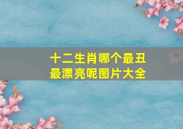 十二生肖哪个最丑最漂亮呢图片大全