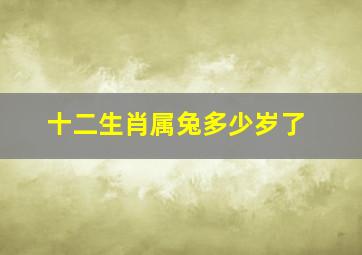 十二生肖属兔多少岁了