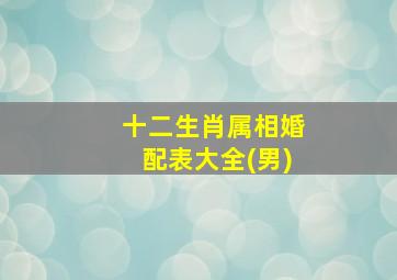 十二生肖属相婚配表大全(男)