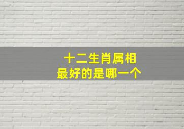 十二生肖属相最好的是哪一个