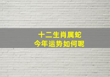 十二生肖属蛇今年运势如何呢