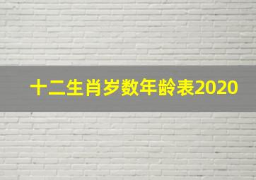 十二生肖岁数年龄表2020