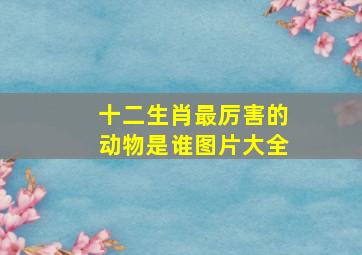 十二生肖最厉害的动物是谁图片大全