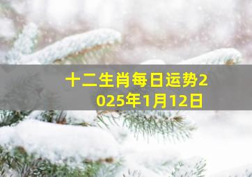 十二生肖每日运势2025年1月12日