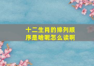 十二生肖的排列顺序是啥呢怎么读啊