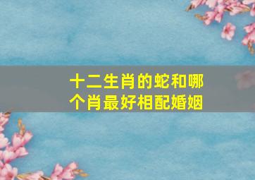 十二生肖的蛇和哪个肖最好相配婚姻