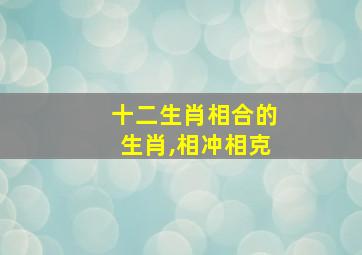 十二生肖相合的生肖,相冲相克