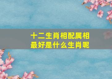 十二生肖相配属相最好是什么生肖呢