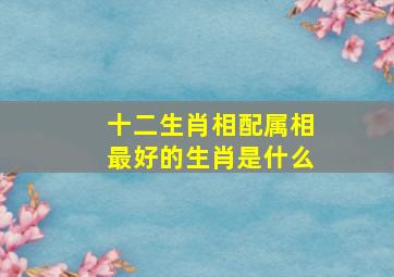 十二生肖相配属相最好的生肖是什么