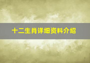 十二生肖详细资料介绍