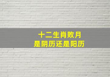 十二生肖败月是阴历还是阳历