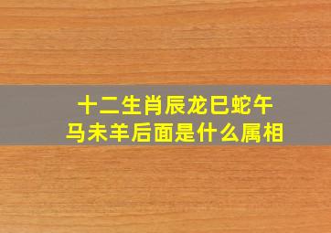 十二生肖辰龙巳蛇午马未羊后面是什么属相