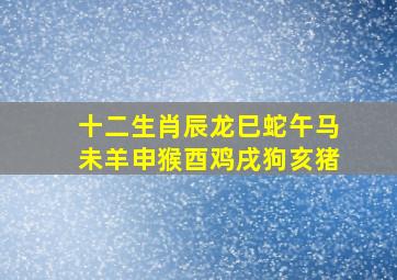 十二生肖辰龙巳蛇午马未羊申猴酉鸡戌狗亥猪