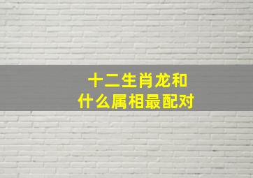 十二生肖龙和什么属相最配对