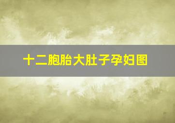 十二胞胎大肚子孕妇图