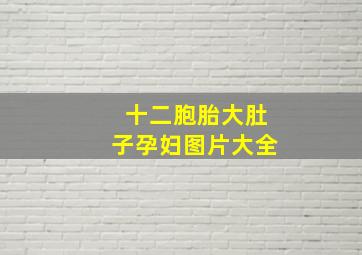 十二胞胎大肚子孕妇图片大全